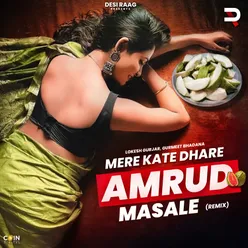 Mere Kate Dhare Amrud Masale (Remix)